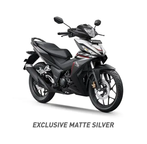EXLUSIIVE MATTE SILVER
