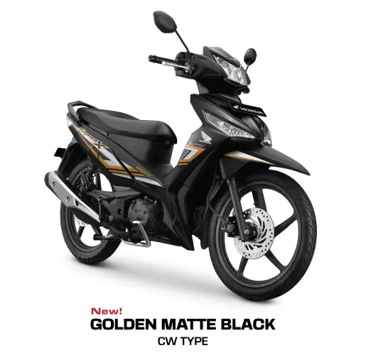 GOLDEN MATTE BLACK